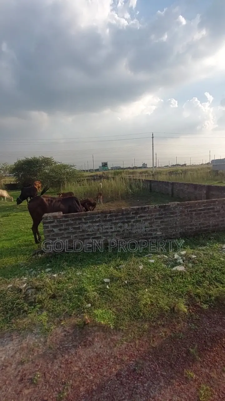 Bashundhara Plot Price N Block L Block M Block P Block P Ext