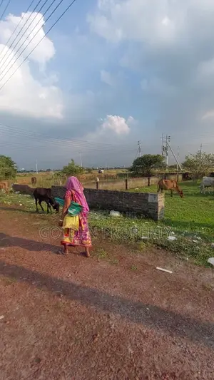 Bashundhara Plot Price N Block L Block M Block P Block P Ext