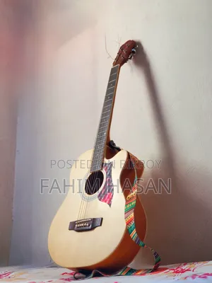 স্মাইগার ৪০৪০ অ্যাকোস্টিক গিটার