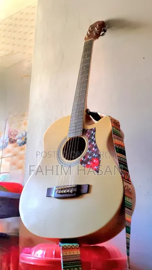 স্মাইগার ৪০৪০ অ্যাকোস্টিক গিটার