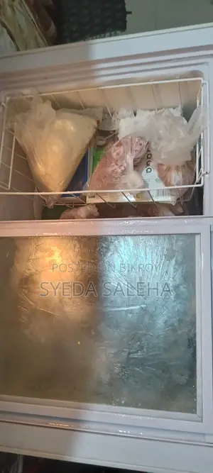 সিঙ্গার ডিপ ফ্রিজার ১৩৮ লিটার বিক্রির জন্য