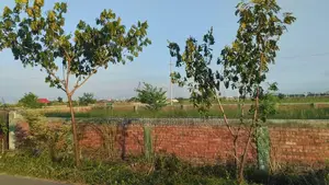 Photo - 3 Katha Plot Price in Bashundharan