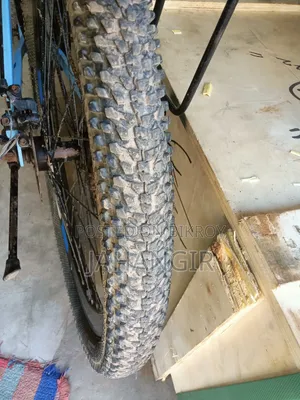 Foxter Gear Bicycle