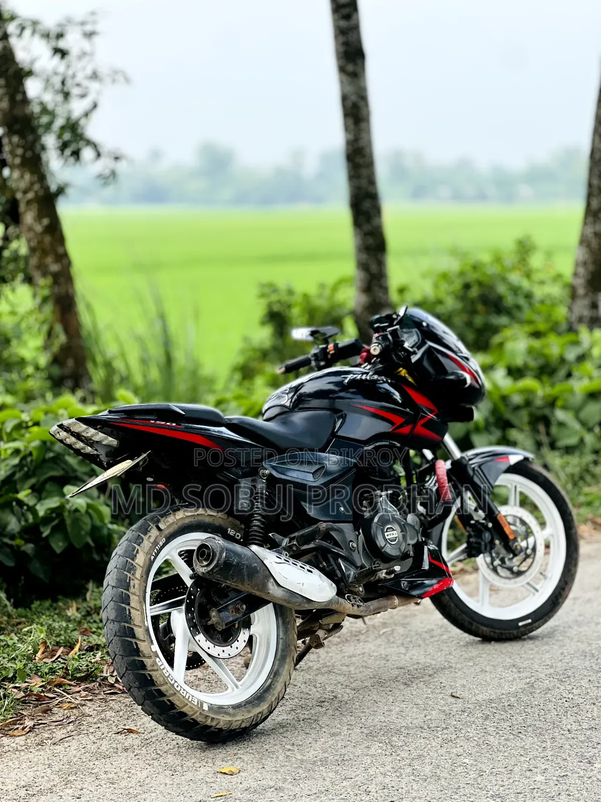 Bajaj Pulsar 150 2023 Black