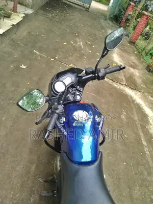 Bajaj Pulsar 135 LS 2012 Blue