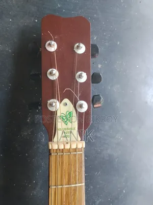 Cutaway Acoustic Guitar