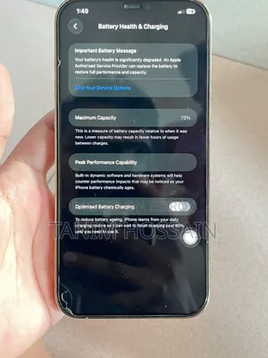 Apple iPhone 12 Pro Max 256 GB Rose Gold