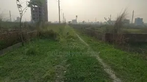 Photo - Plot Sale Bashundhara 7.50 Katha M Block