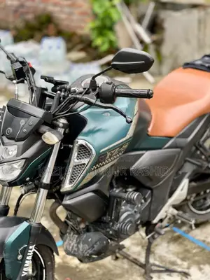 Yamaha FZS V3 2022 সবুজ