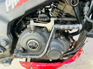 Bajaj Pulsar NS 160 2019 Red