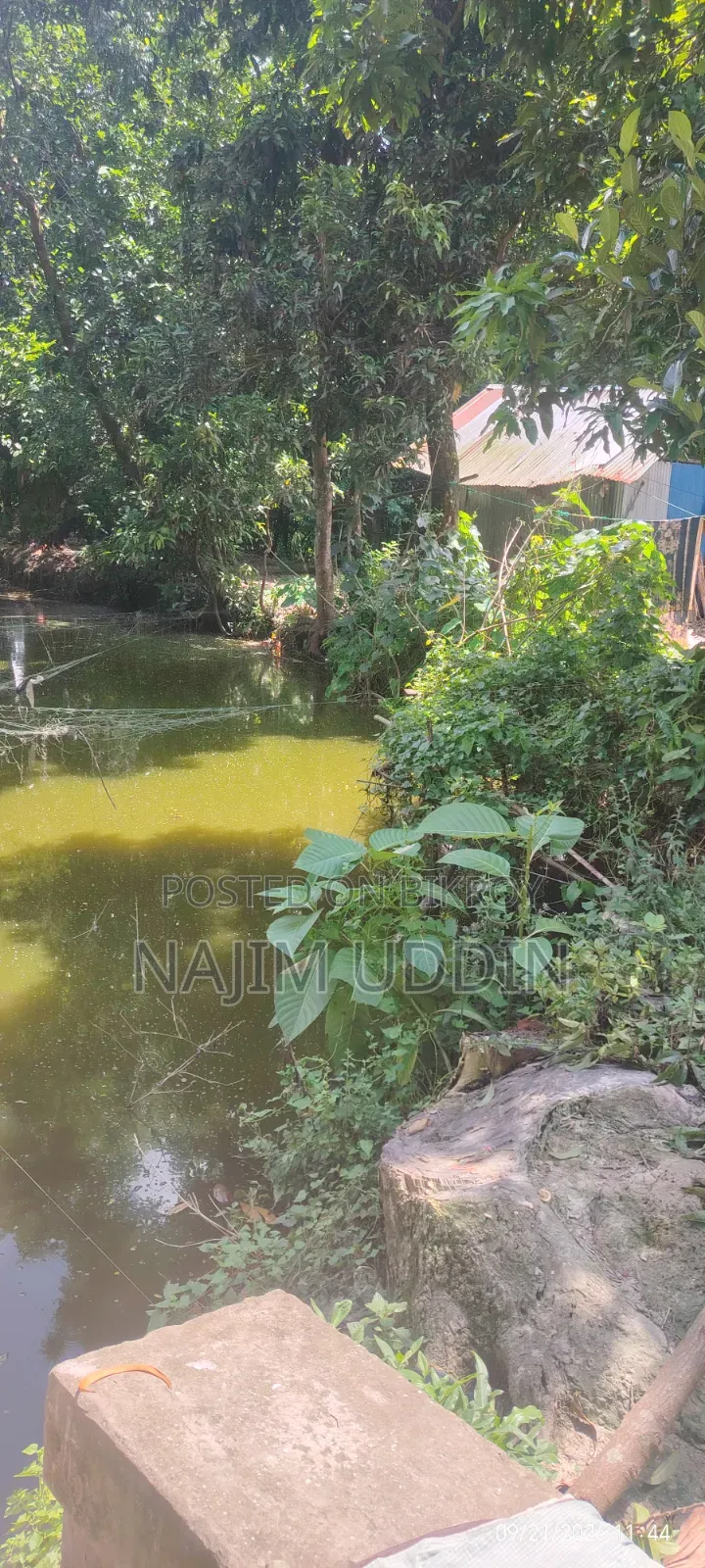 Land for Sale