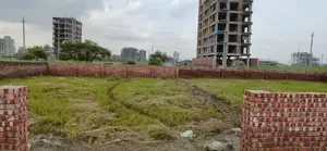 Photo - L Block Plot Sale 5 Katha Bashundhara Baridhara