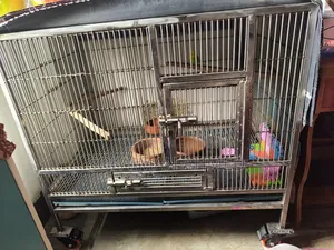 Cage of 37/24/24 Size Non-Magnet Original SS Will Be Sold