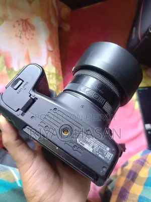 Canon 77d With Canon 50mm STM Prime Lens