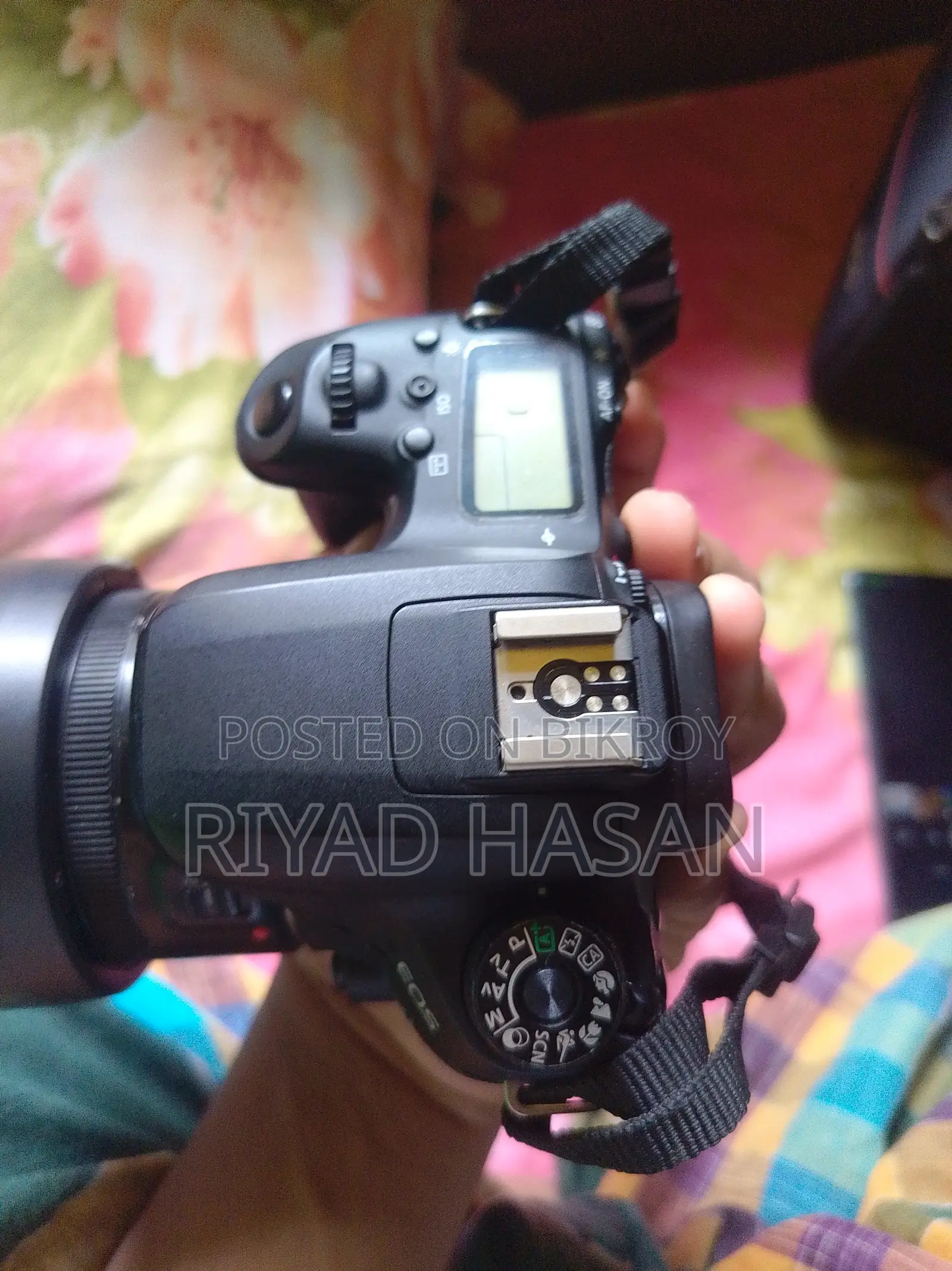 Canon 77d With Canon 50mm STM Prime Lens
