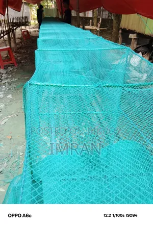 চায়না রিং জাল