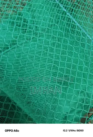 চায়না রিং জাল