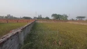 Photo - Ready 4 Katha Plot Sale Bashundhara N Block