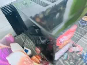 Singer Microwave Oven