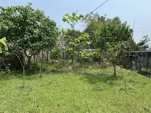 রাজউক পূর্বাচল সেক্টর-২৪ সরকারি চাকরিজীবী ৩ কাঠা বরাদ্দকৃত প্লট