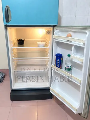 Singer Fridge