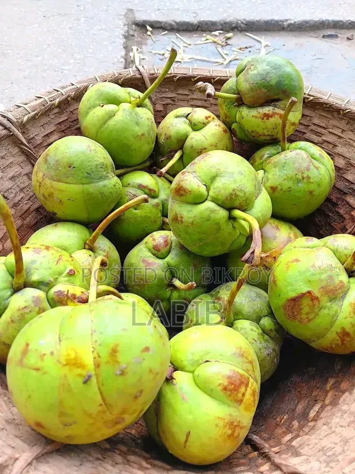 Chalta Fruit Tree