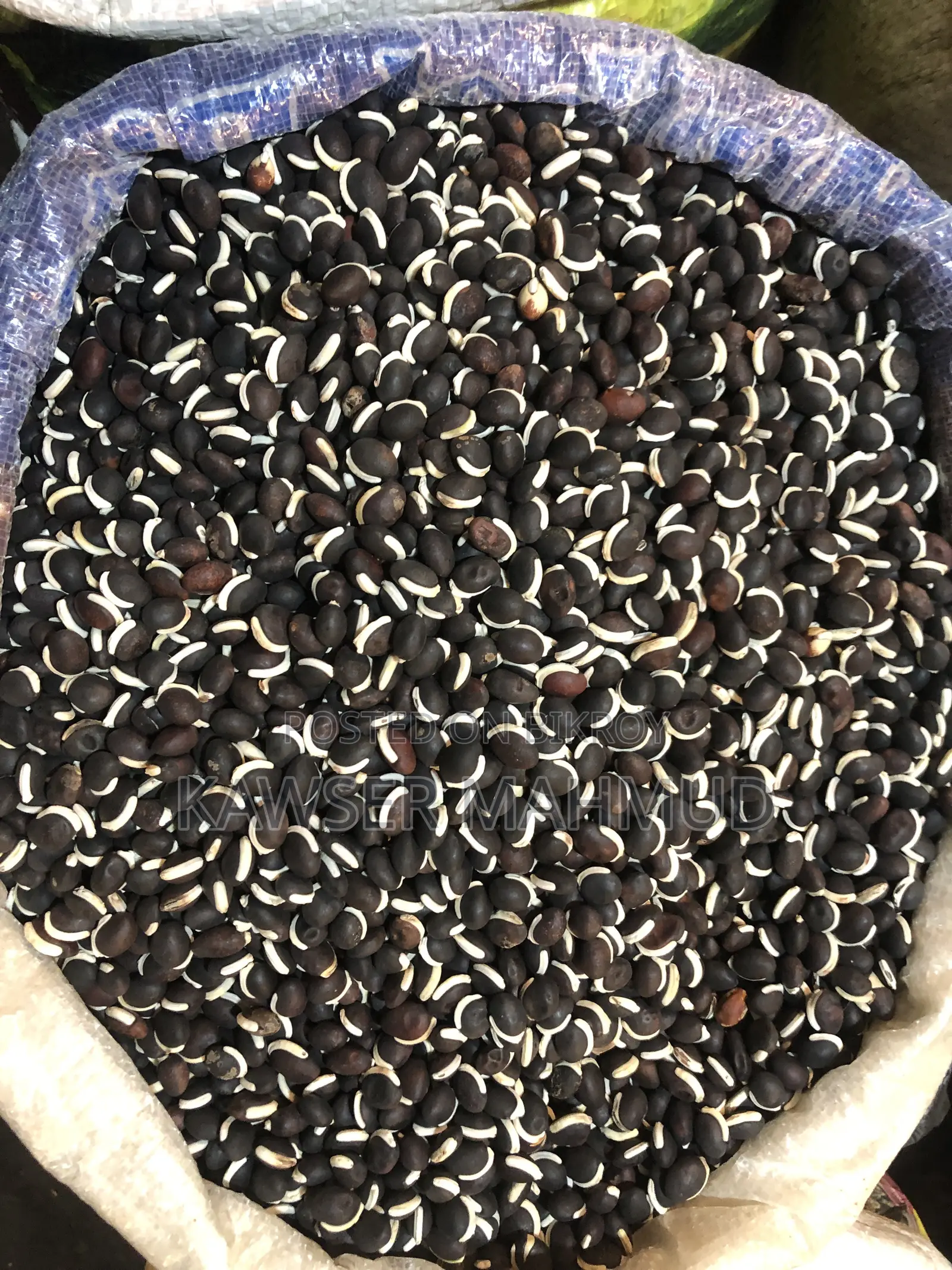 Dry bean seeds