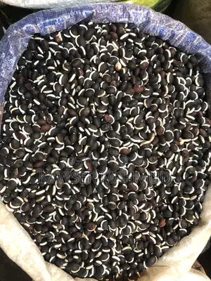 শুকনো শীমের বিচি