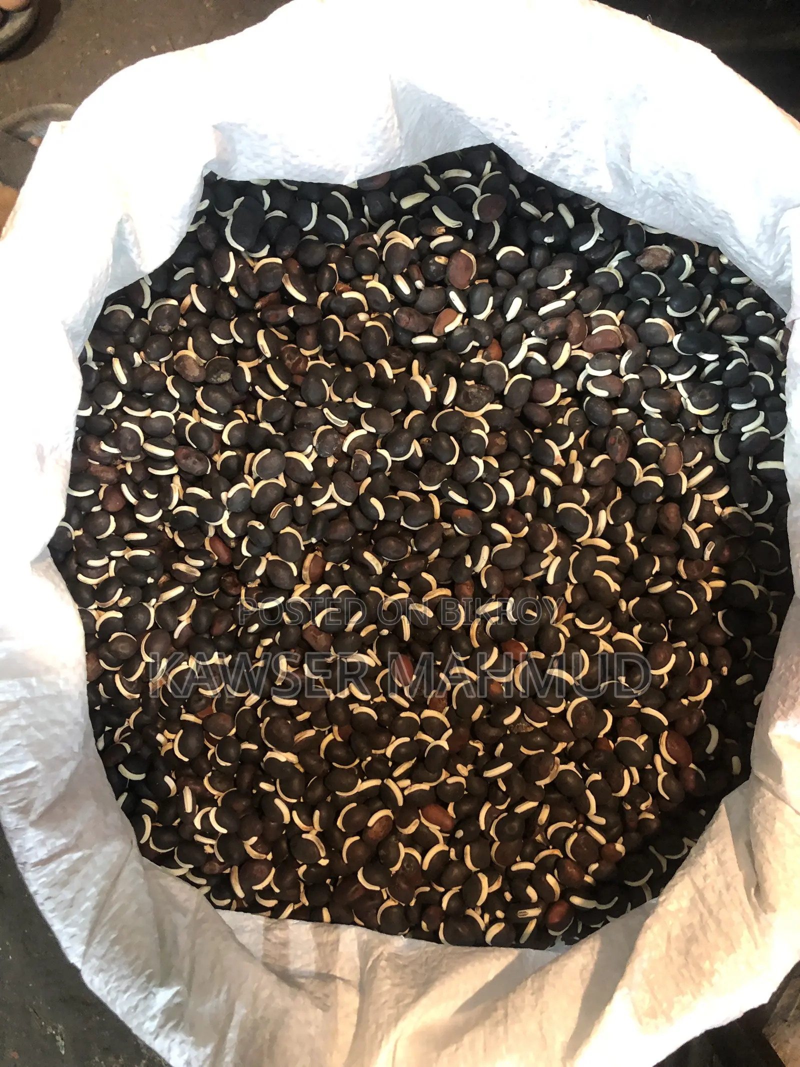 Dry bean seeds