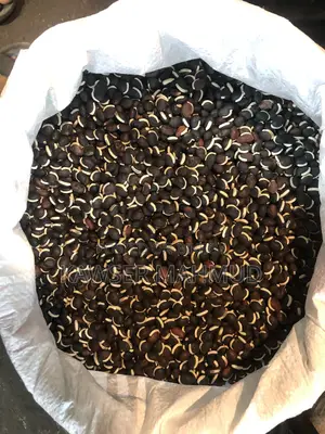 Dry bean seeds