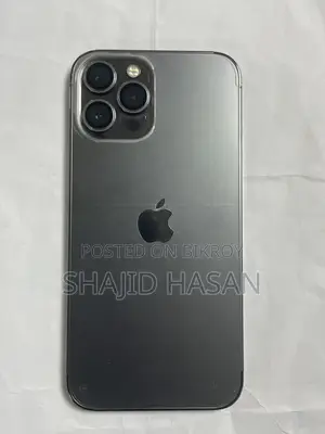 Apple iPhone 12 Pro Max 256 GB Silver