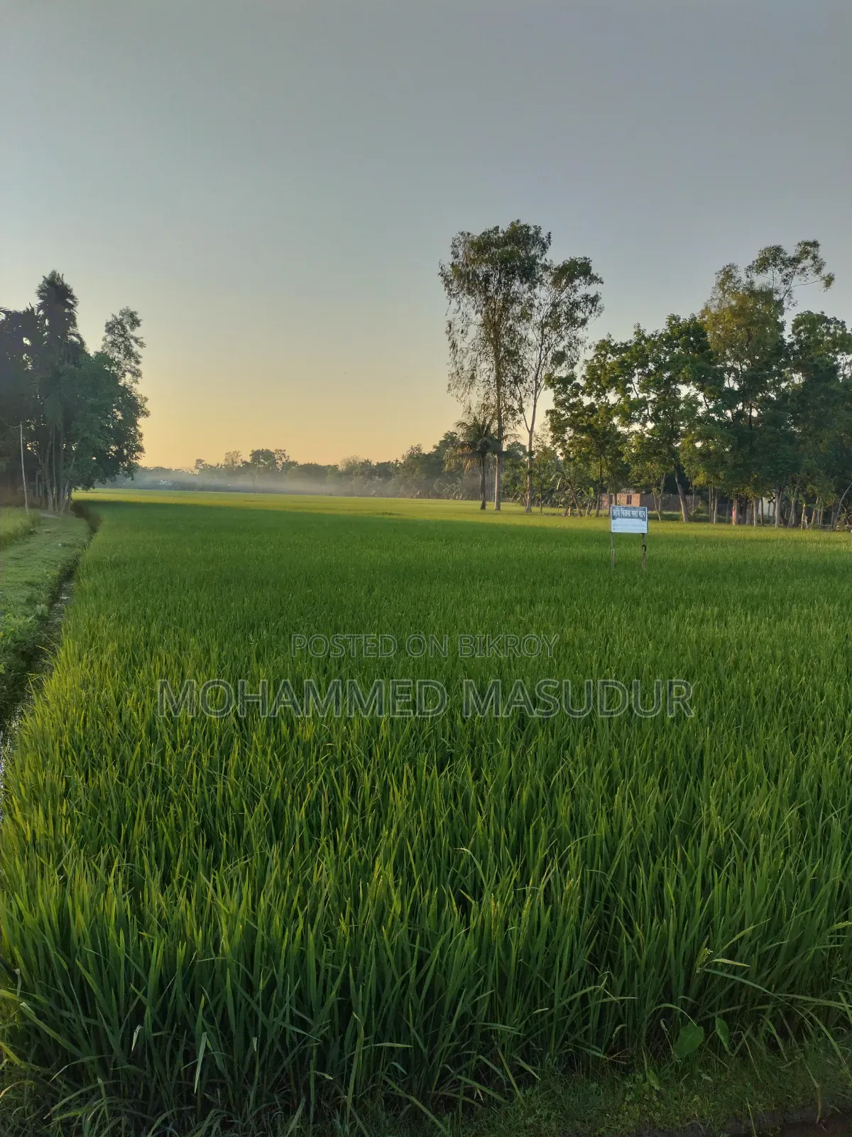 ৮৪ শতাংশ জমি বিক্রি হবে