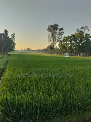 ৮৪ শতাংশ জমি বিক্রি হবে