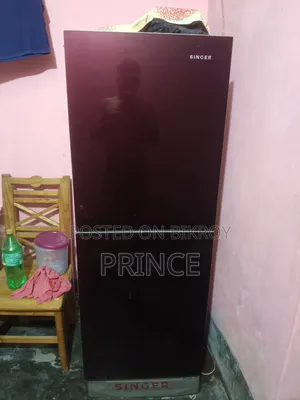 Singer Fridge