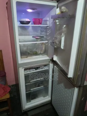 Singer Fridge
