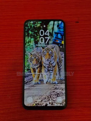 স্যামসাং গ্যালাক্সি এফ৩৪ ১২৮ জিবি সিলভার