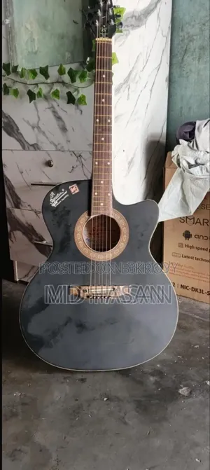 SighNature Guitar