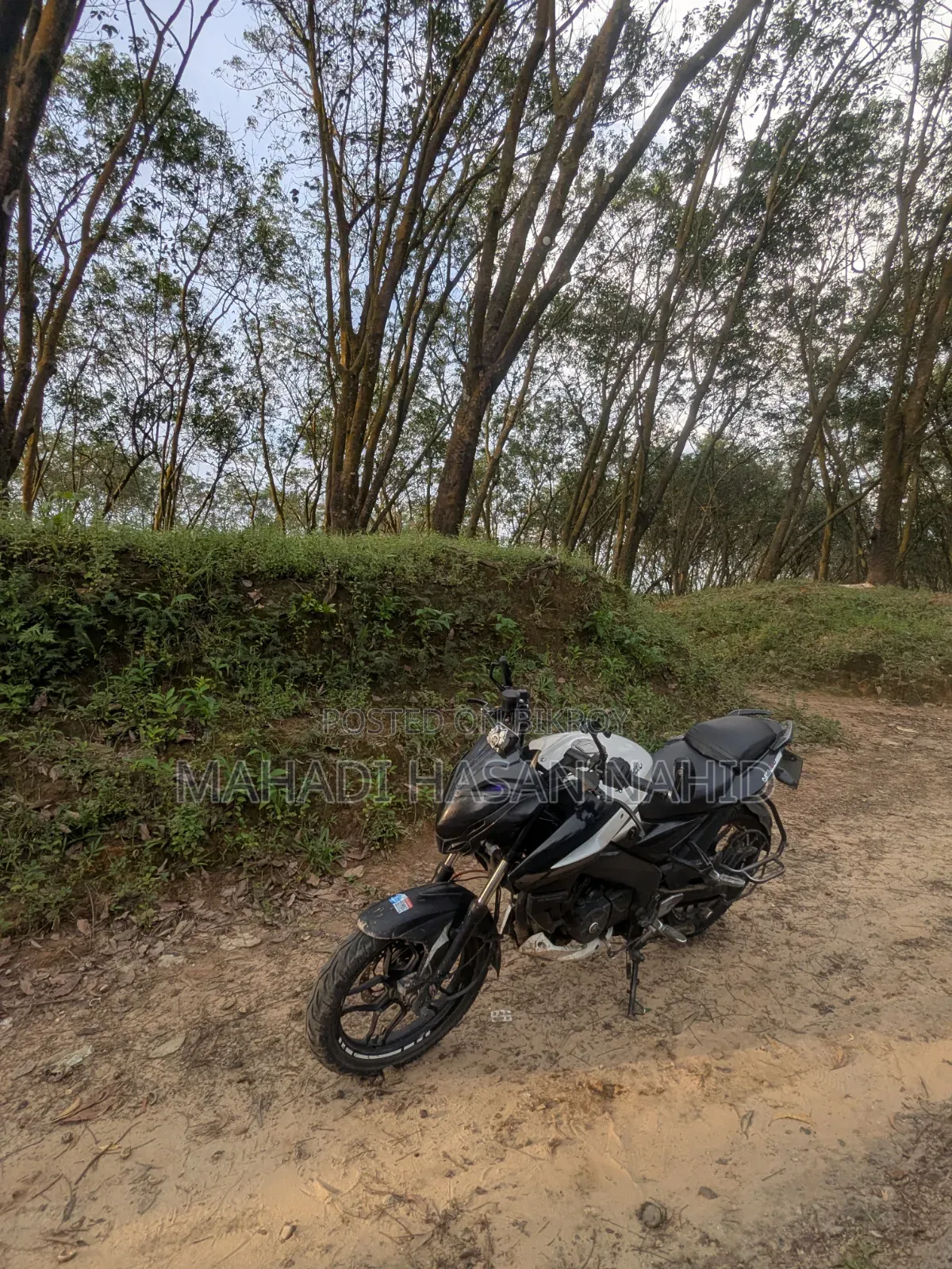 বাজাজ পালসার এনএস ১৬০ ২০১৮ হোয়াইট