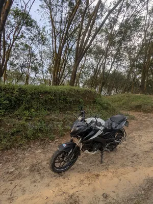 বাজাজ পালসার এনএস ১৬০ ২০১৮ হোয়াইট