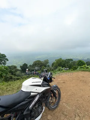 বাজাজ পালসার এনএস ১৬০ ২০১৮ হোয়াইট