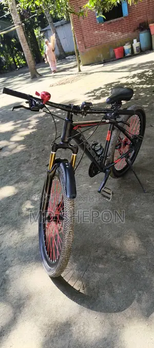Phoenix Cycle