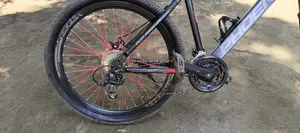 Phoenix Cycle