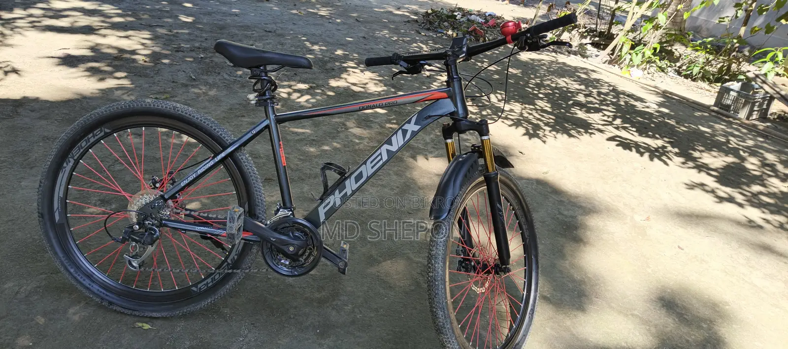 Phoenix Cycle