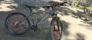 Phoenix Cycle