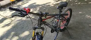 Phoenix Cycle