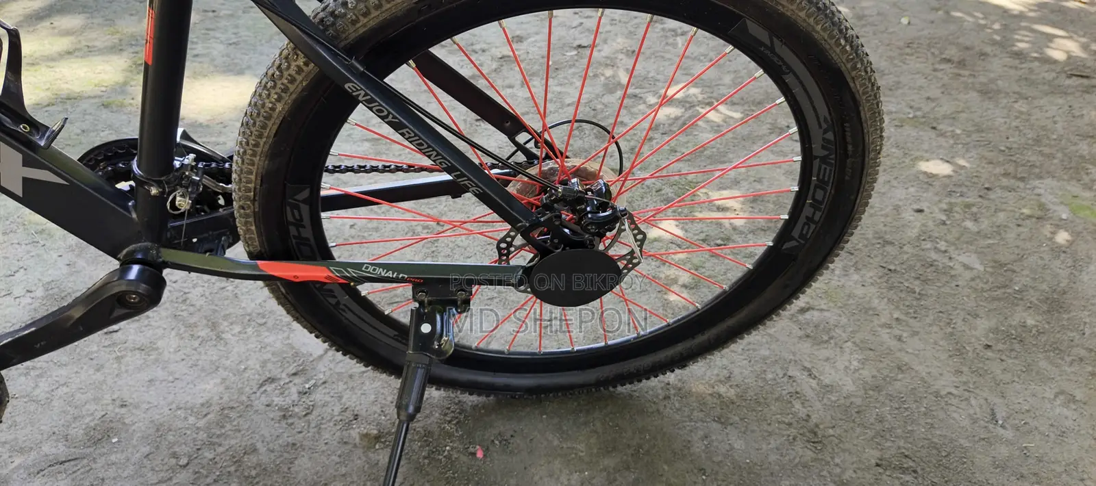 Phoenix Cycle