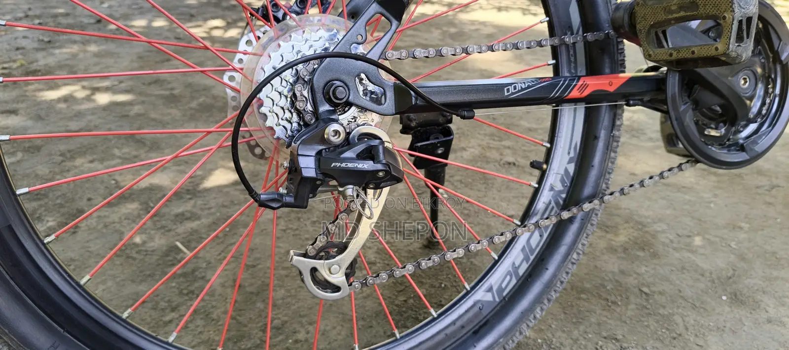Phoenix Cycle