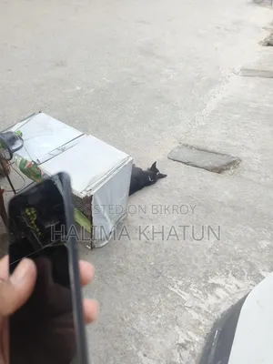 Xiaomi Redmi 6 32 GB Black