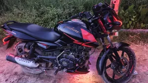 Bajaj Pulsar 150 2022 Black