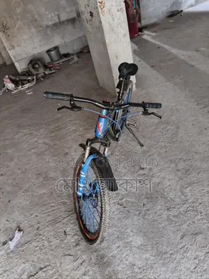Large bicycle, will be good